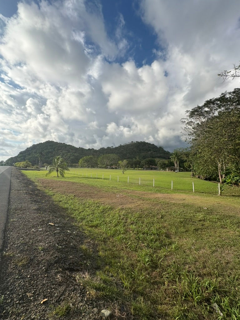 61E98878-C64A-4193-B6B1-E95A5CA03563_1_105_c.jpeg