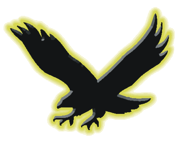 WSR Go-Hawk