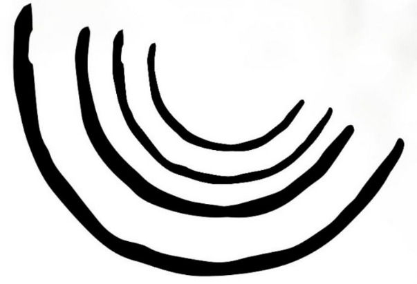 Boise Ultrasound Company