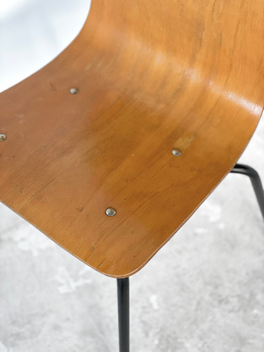 Pierre Guariche Papyrus Chair - Steiner, 1951 | IN THE LIGHT