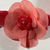 Beauty Product