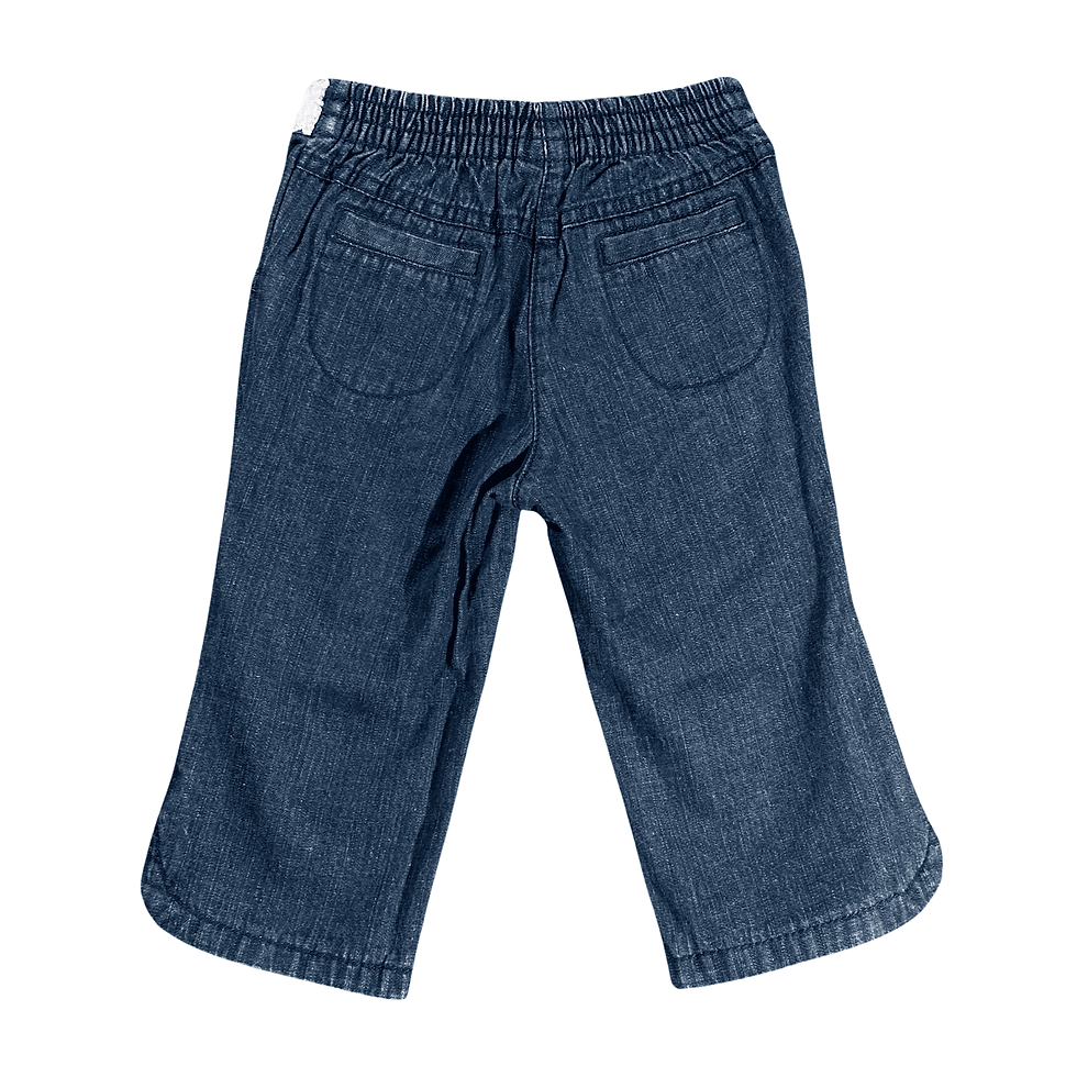 Gymboree Pretty Pansies 2010 Baby Girl's Size 12 - 18 Months Lavender Sash Blue Denim Pants Back View