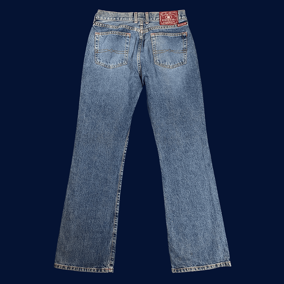 Lucky Brand Dungarees Women's Size 8 (29) Light Blue Plain Jane Flare Cut Denim Jeans Back