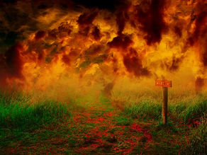 The Causes, Impacts, and Challenges of the 2003 Siberian Taiga Fires