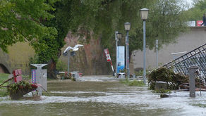 The Case of Floods and Landslides in Indonesia