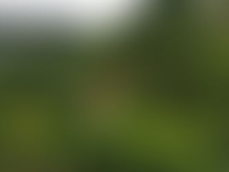 Is Landslide a Hydrometeorological Hazard? A Deeper Understanding of Landslides