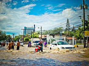 How to Survive Flood and Get Lessons from It