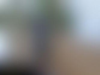 Cell Broadcast iPhone: Effective Technology for a Disaster Warning System