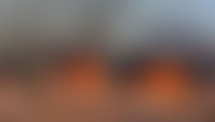 What Caused Chile's Wildfires? Five Factors Triggering Chilean Annual Fire