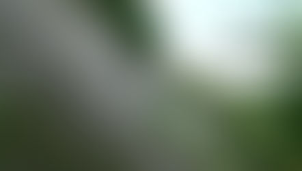 Landslide in Congo 2026: Hundreds Died After the Rubaya Mine Collapsed