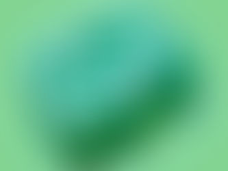 Understanding The Broadcast Message Whatsapp