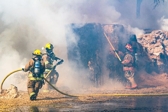 Including a Terrible Disaster, What Caused the National Fire in Florida?
