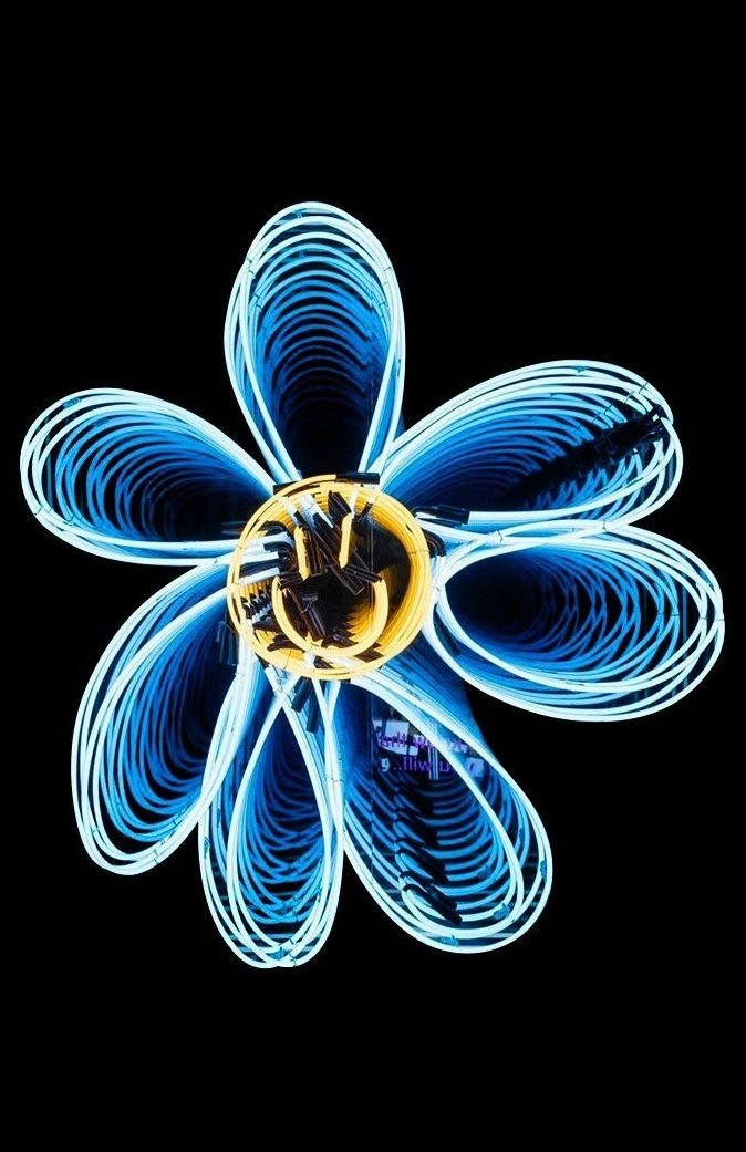 Thumbnail: Black LED flower Cotton Printed Tshirt