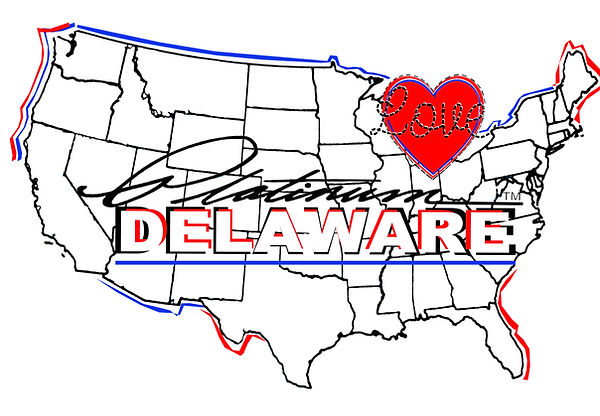 PLATINUM USA MAP DELAWAREFLAT.jpg