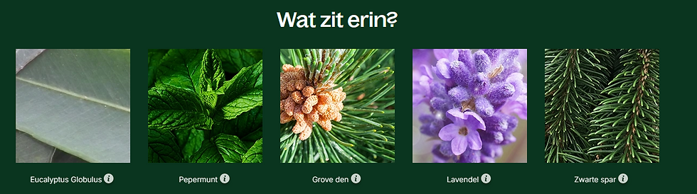 Thumbnail: Natuurlijke ondersteuning luchtwegen Plant Therapy