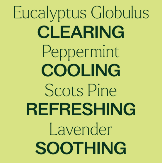 Thumbnail: Natuurlijke ondersteuning luchtwegen Plant Therapy