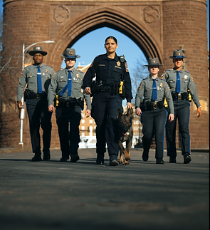 Screenshot 2025-03-06 at 11.38.10 AM.png