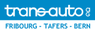 logo_transauto_edited