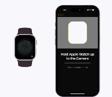 apple.gif