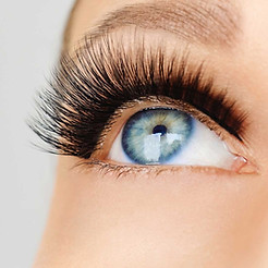 Eyelash-header.jpg