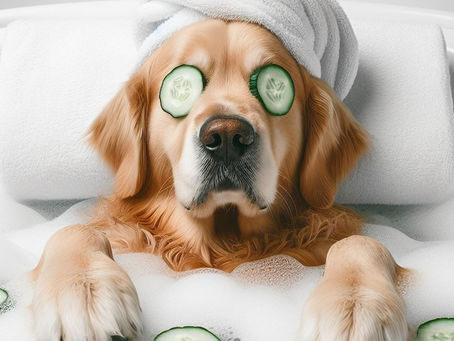 420 billion reasons to invest in pets