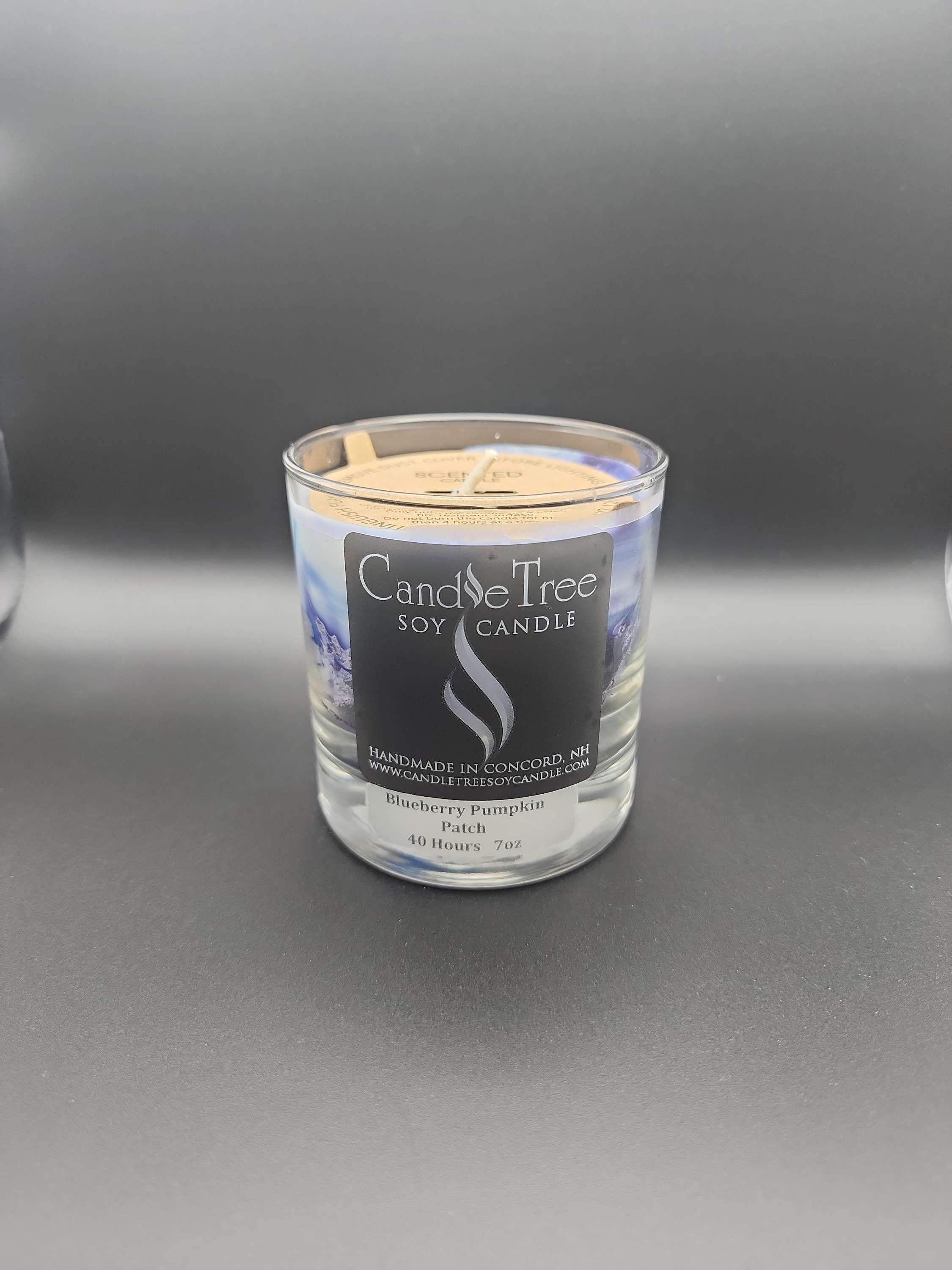 Blueberry Pumpkin Patch