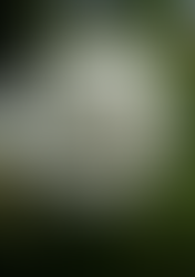 Comment arrêter de fumer naturellement sans utiliser de substitut