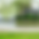 Thumbnail: Zoysia - Zoysia Japonica