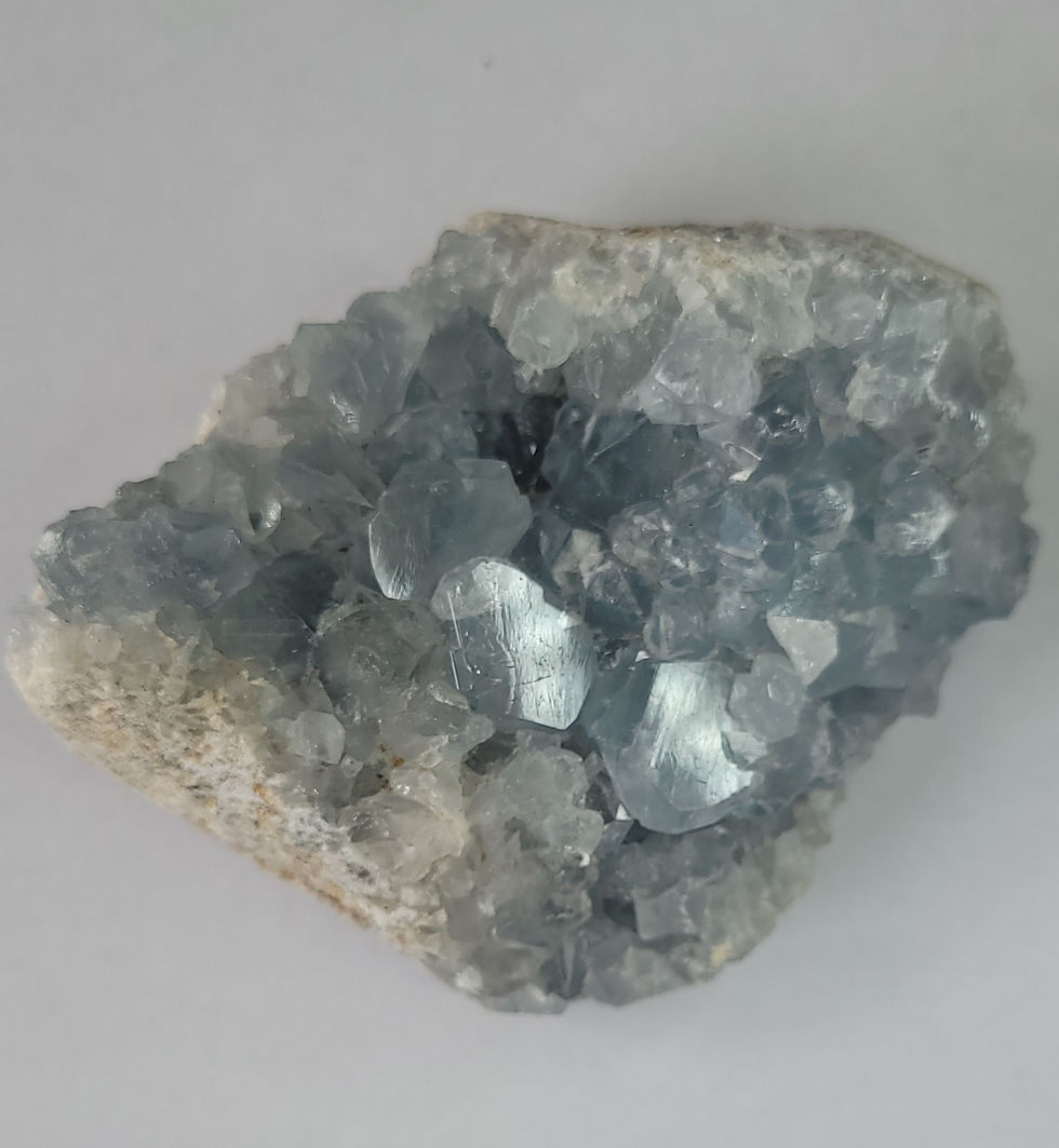 Miniature : Célestine