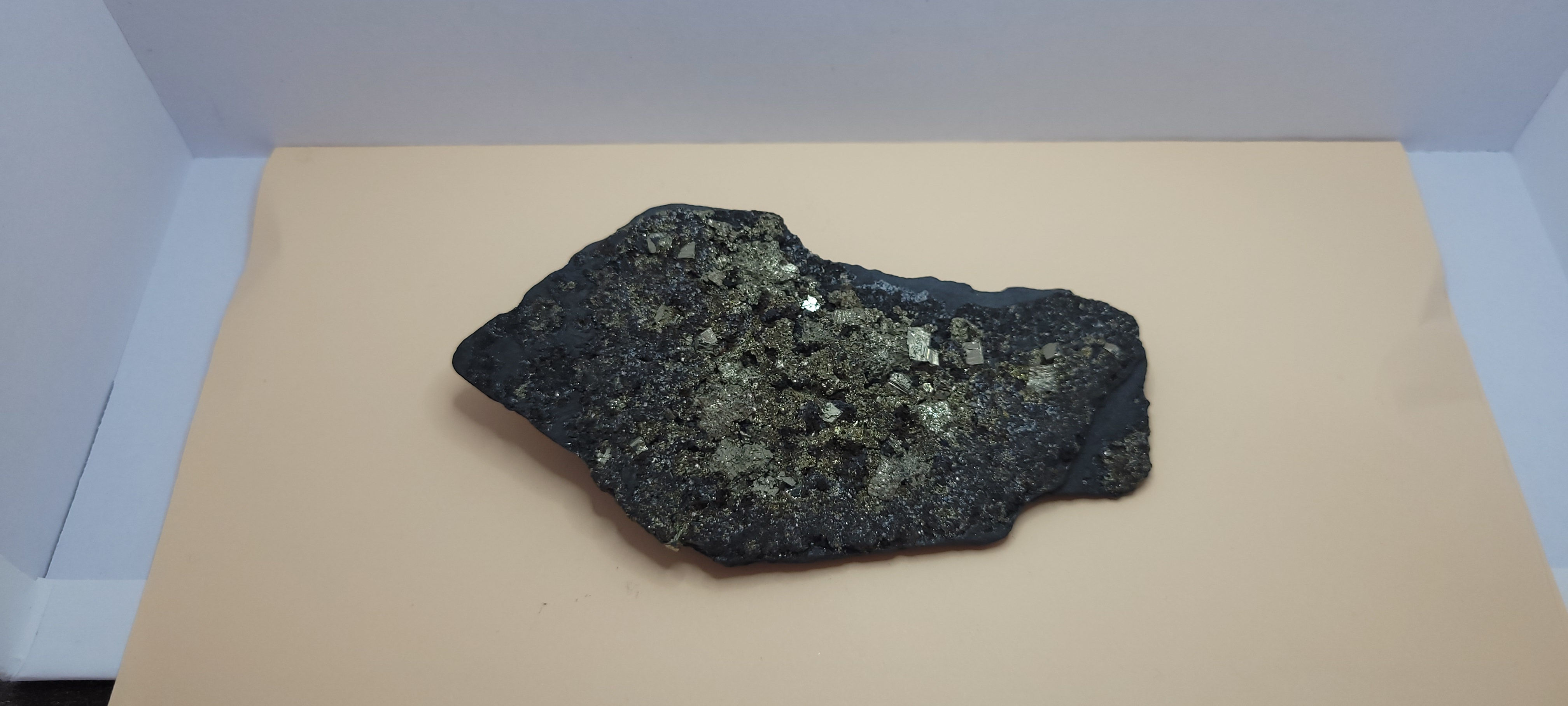 Shungite avec pyrite