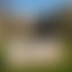 ENDOTwin: The Canadian Innovation Transforming Endo Diagnosis