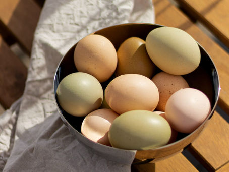 Home Fresh Eggs: How to Raise Chickens in Your Backyard