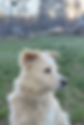 8911B9D1-425A-4CB8-90AF-1CDBCC1A7732.PNG