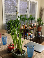 IMG_3818.jpg