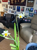 IMG_3863.jpg
