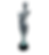 Miniatyrbilde: Vasser