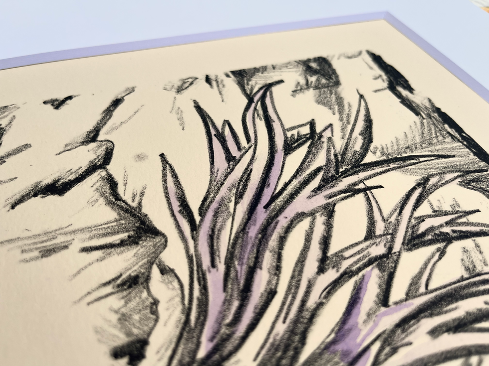 Thumbnail: Print, Lithograph Colorized - "Highland Thistle"