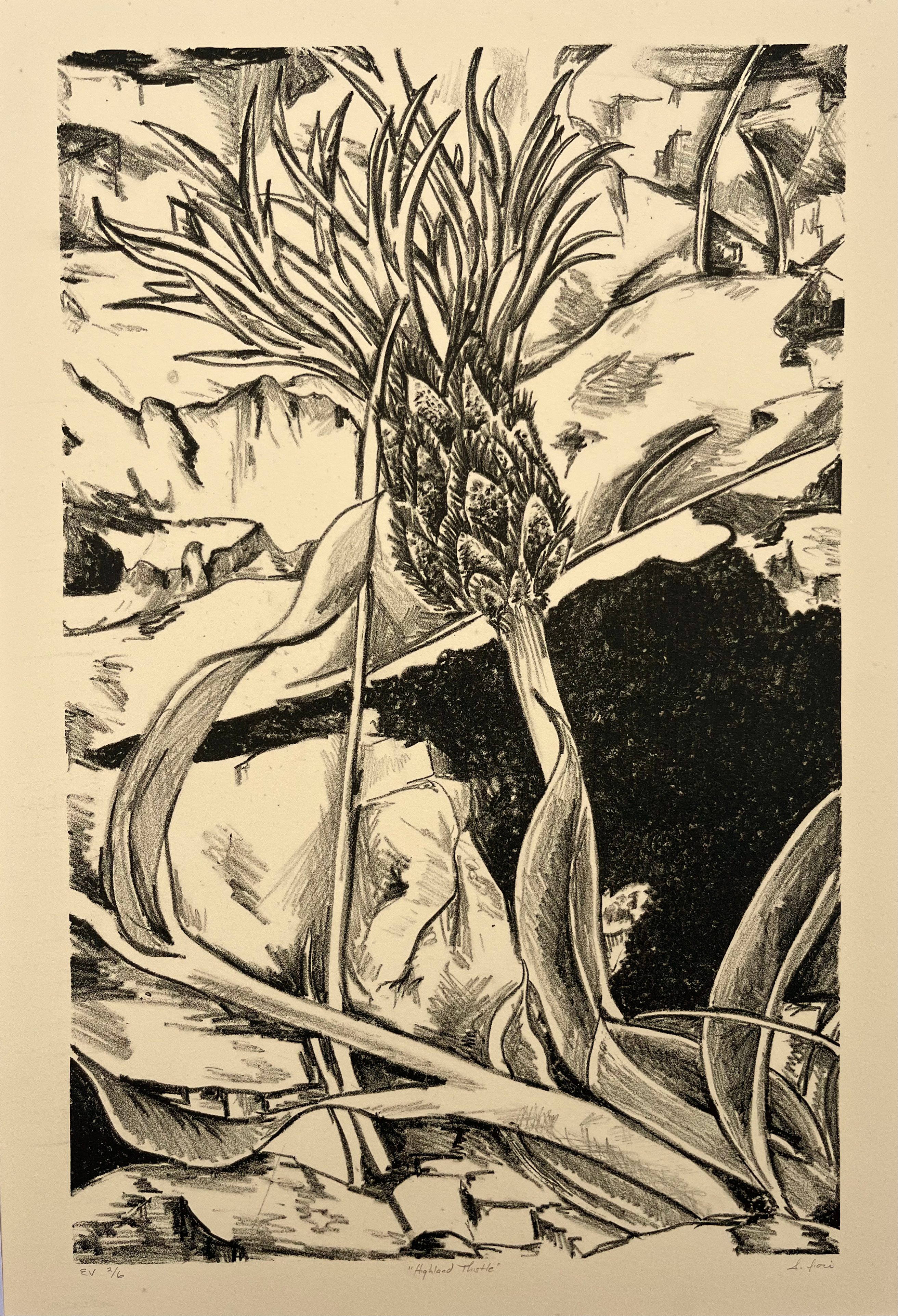 Print, Lithograph - "Highland Thistle"