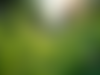 The Importance of Sustainable Living in Today's World
