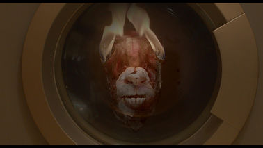 3-banner_La boda del canibal.jpg