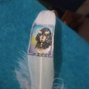 Painted Feather 001