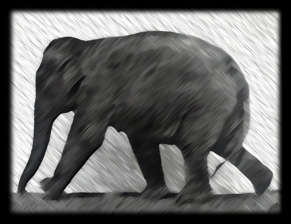 Elephant_Animation_Loop.gif