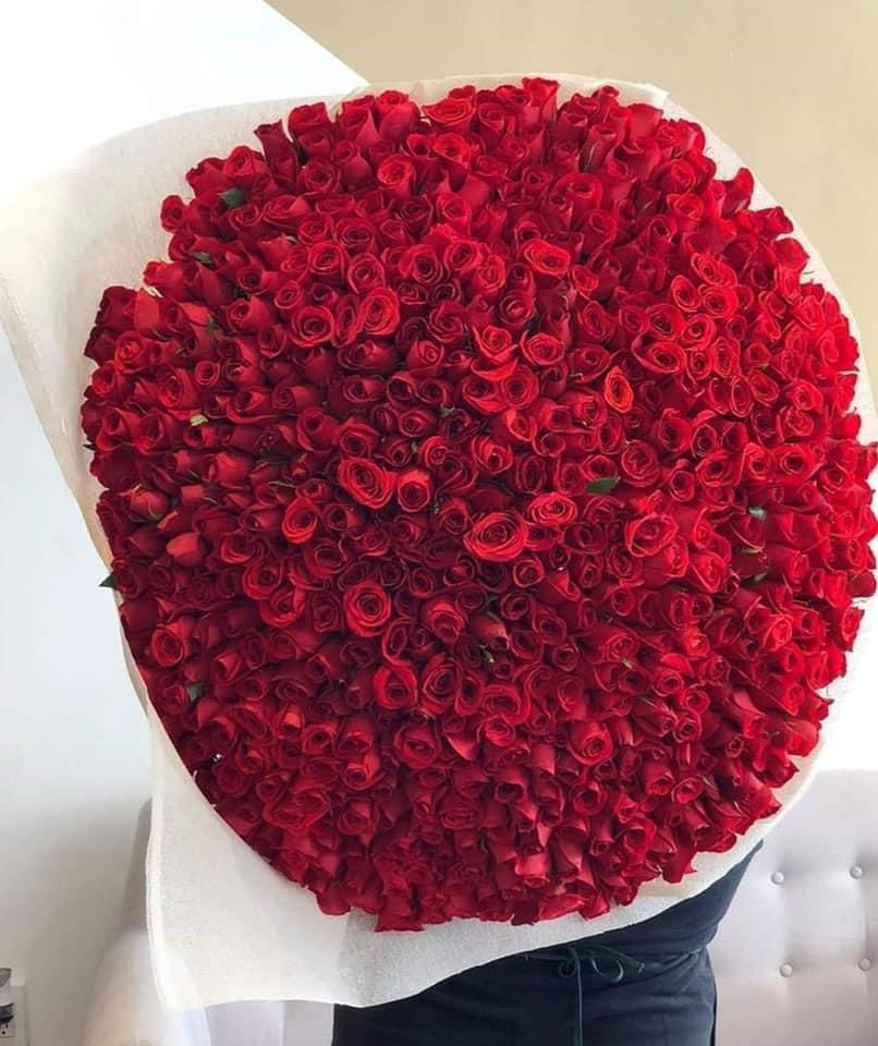 Ramo de 500 Rosas Rojas