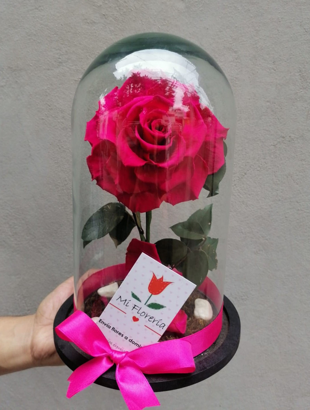 Rosa Eterna Fiusha