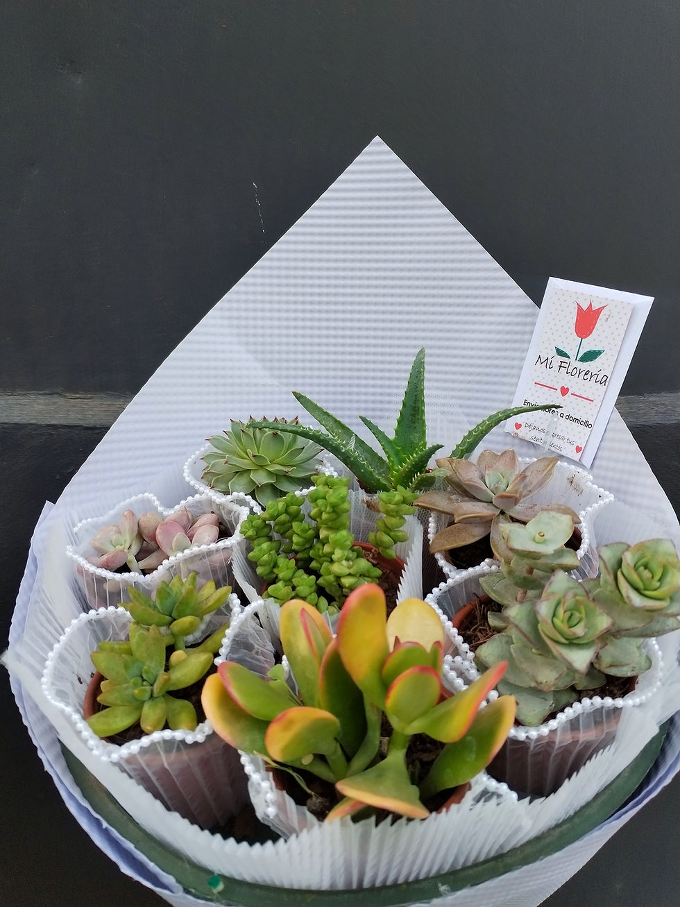 Miniatura: Ramo de Suculentas 