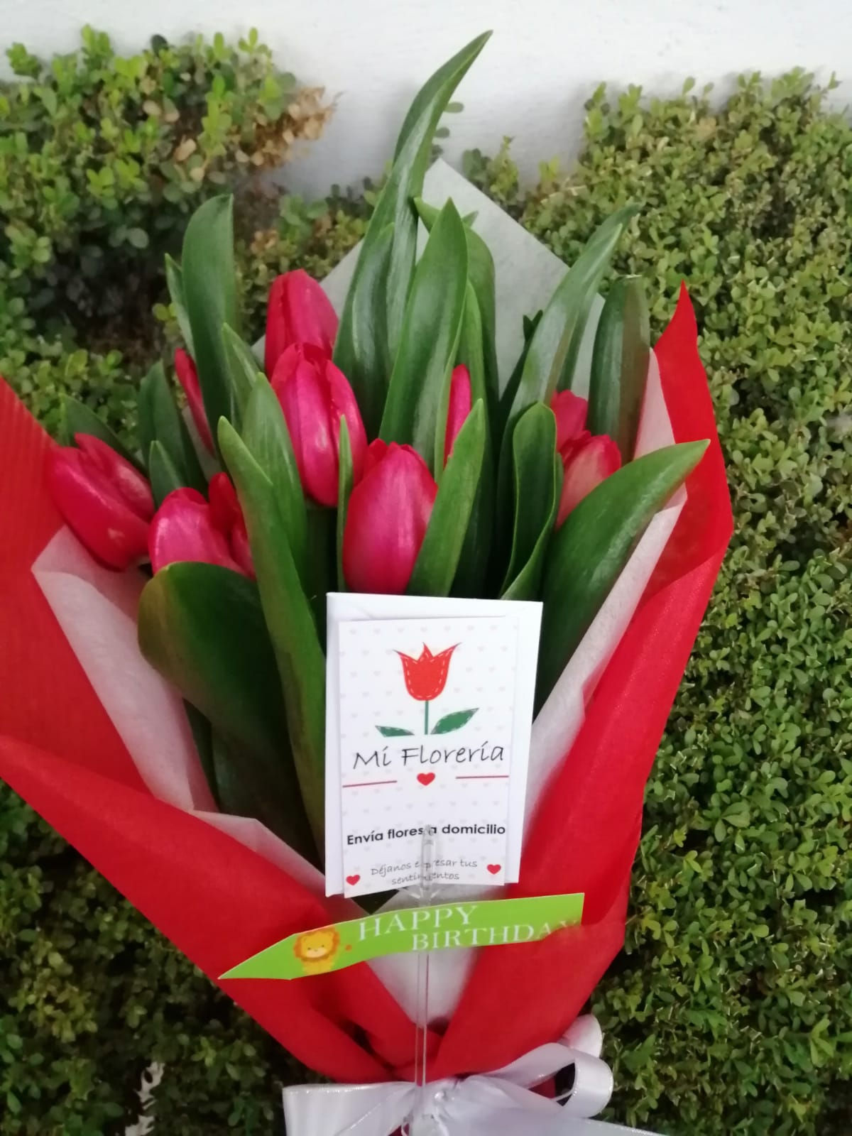 Ramo de 10 Tulipanes