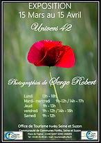 affiche expo Mr ROBERT Petite.jpg