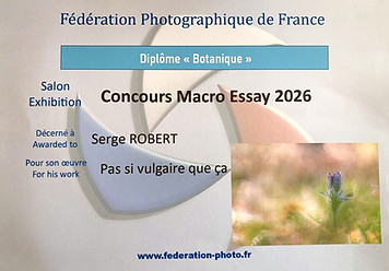Diplome FPF (1)_edited.jpg