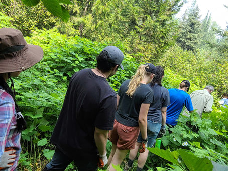 2023 Field School & Volunteer Opportunities