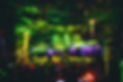 Forest 1.jpg